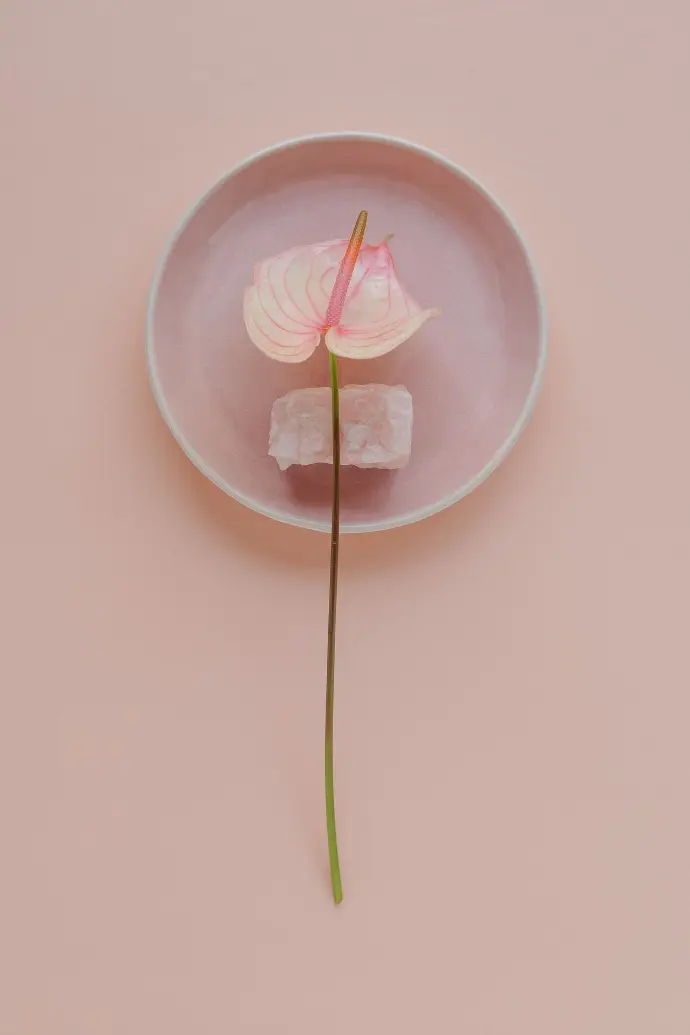 a pink plate with a single flower on it
